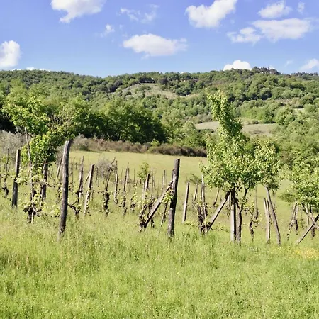 Ferienhaus Mit Privatpool Fuer 6 Personen Ca 400 M In Morra, Trasimenischer See Casa vacanze Città di Castello